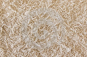 Beige rug texture