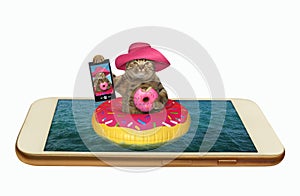 Cat eats donut in phone