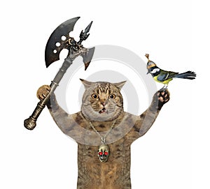 Cat fights with battle axe 3