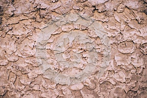 Beige cement texture wall background. Close up.