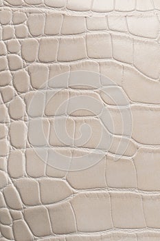 Beige color reptile leather texture