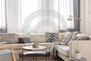 Beige comfortable corner sofa with grey pillows in elegant living room interior with white wall