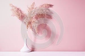 Beige dry fluffy reeds in white ceramic vase in bright sunlight with shadow on pastel pink wall. Elegant home decor in simple.