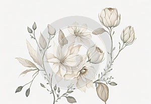 Beige Floral Sketch with Watercolor on White Background.