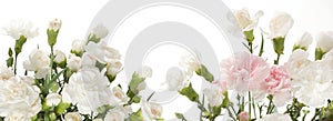 Beige flower bouquet on white horizontal long copy space background