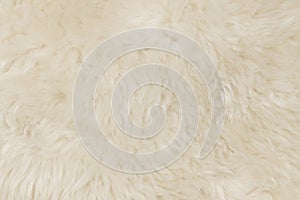 Beige fluffy wool texture background.  white natural fur texture. close-up for designers