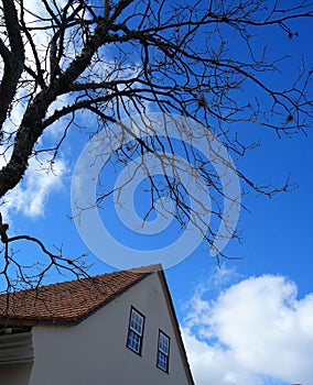 Beige house photo