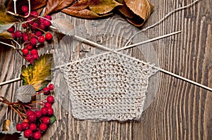 Beige knitting and berries