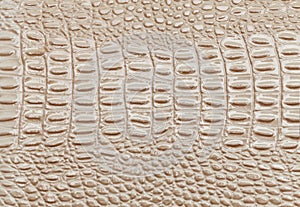 Beige leather texture background. Closeup photo. Reptile skin.