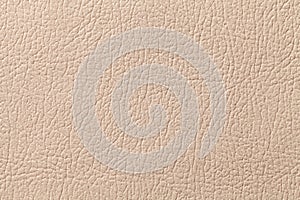 Beige leather texture background with pattern, closeup