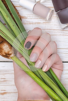 Beige nail design. Beautiful female hand with different shades of brown manicure