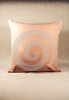 Beige pillow on a white velvet sofa