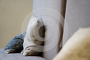 Beige pillows on canvas sofa, soft focus background