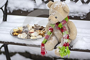 Beige plushy teddy bear with red green striped knitted scarf sitting with Christmas cookies on the bench covered with white snow