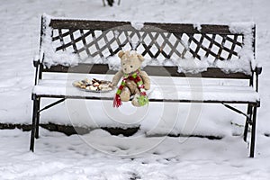 Beige plushy teddy bear with red green striped knitted scarf sitting with Christmas cookies on the bench covered with white snow