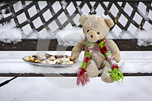 Beige plushy teddy bear with red green striped knitted scarf sitting with Christmas cookies on the bench covered with white snow