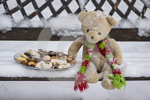 Beige plushy teddy bear with red green striped knitted scarf sitting with Christmas cookies on the bench covered with white snow