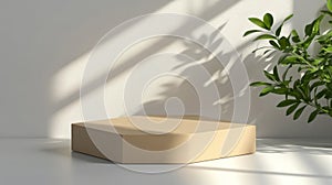 Beige Podium With Plant In Soft Light