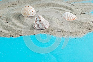 Beige shells scattered on the sand like as on a desert island on blue background lika the sea