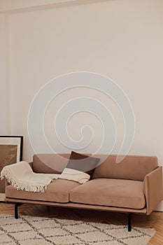 A beige sofa stands near a white wall next to a green flower