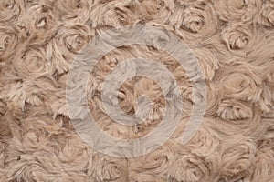 Beige soft fabric with twisted roses