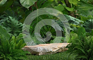 Beige stone tabletop podium floor in outdoors tropical garden forest blurred green leaf plant nature background.Natural product