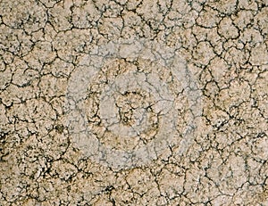 beige stone texture with cracks