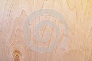Beige surface of plywood sheet with timber wooden structure with vertical waves and curves, natural wood background