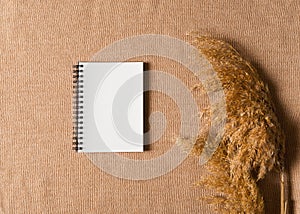 Beige sweater texture pattern close up, structure macro and pampas grass with paper note, list, goals, autumn, winter, backdrop