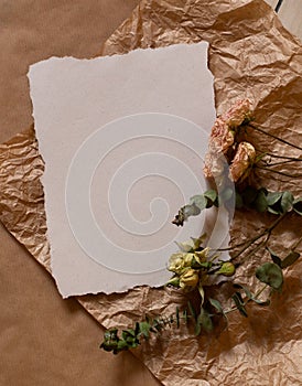 Beige tender tea-rose, brown natural craft and white empty paper sheet flat layout top view. Free blank copy space for text.