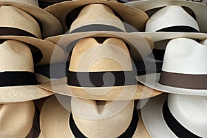 Beige and White Panama Hats