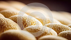 Beige Woven Texture Abstract Background