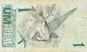 Beija flor hummingbird or colibri depicted on old one real note Brazilian money