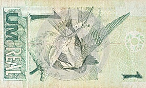 Beija flor hummingbird or colibri depicted on old one real note Brazilian money photo