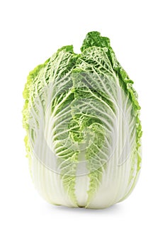 Beijing cabbage