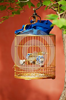 Singing bird in the hanging bamboo cage at Jingshan public park in Beijing, China.