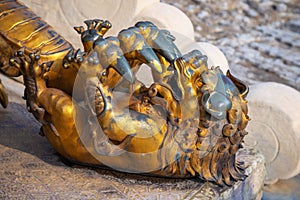 Lion sculptures at Qianqingmen gate - The Gate of Heavenly Purity in the Forbidden City