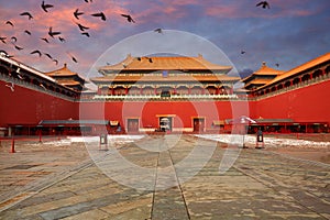 Beijing Forbidden City and flying pigeon