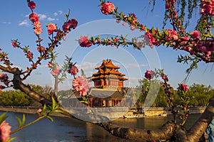 Beijing Forbidden City spring, China