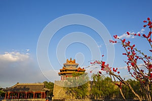 Beijing Forbidden City spring, China