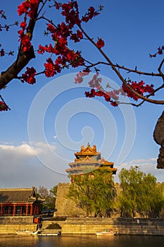 Beijing Forbidden City spring, China