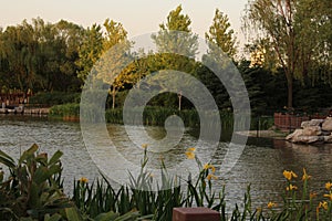 Beijing Haidian park at dusk