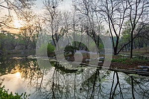 Beijing Olympic Green Forest Park, Spring season