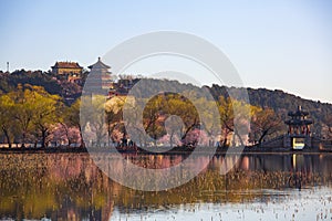 Beijing Summer palace, spring season
