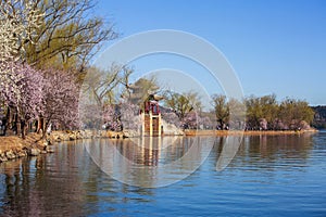 Beijing Summer palace, spring season