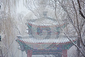 Beijing Summer Palace spring snows