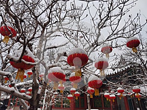 Beijing Summer Palace winter snow view, China