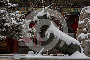 Beijing Summer Palace winter snow view, China