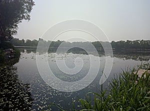 Beijing Yuanmingyuan Park photo