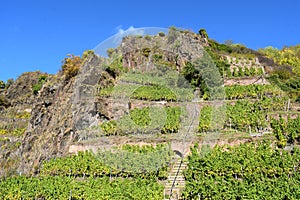 Beilstein, Germany - 10 06 2022: Monorail in the steep high vineyards